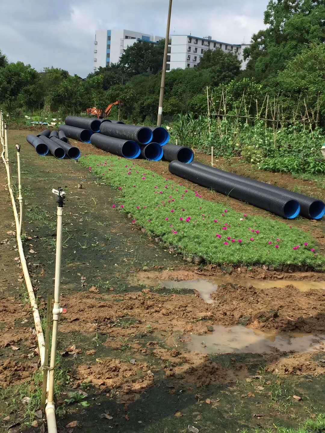 長沙銳信管業(yè)有限公司,長沙排污排水管道,塑料管材生產,雙壁波紋管銷售